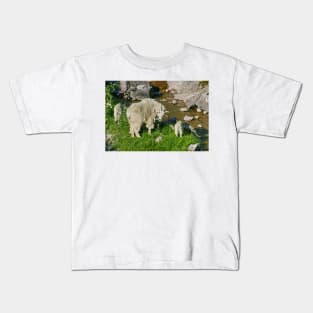 Glacier National Park and Rocky Mountain Sheep Kids T-Shirt